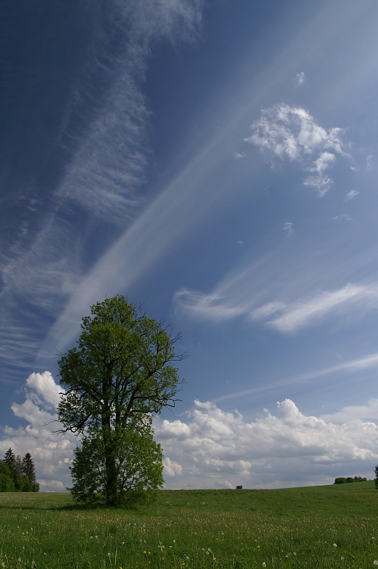 Der Sommer kommt mit großen Schritten