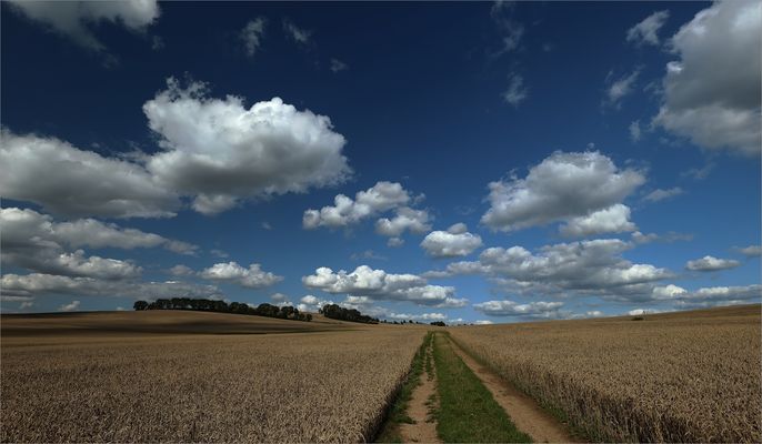 Der Sommer kommt wieder