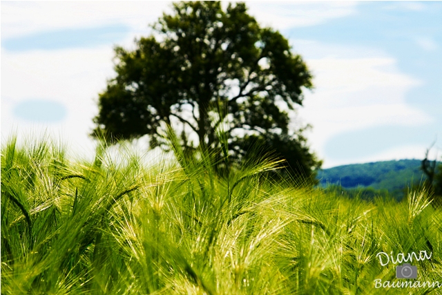 Der Sommer macht im Moment nur ne kleine Pause - Hoffentlich ;-)