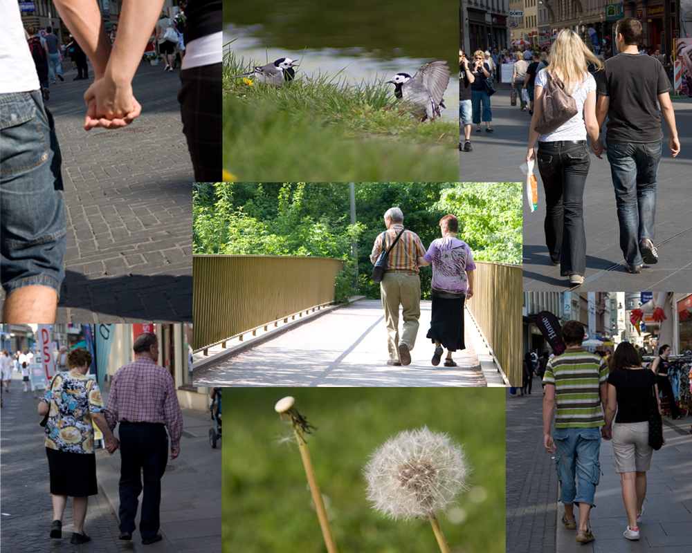 der Sommer macht sich auch in der grauen Diva breit