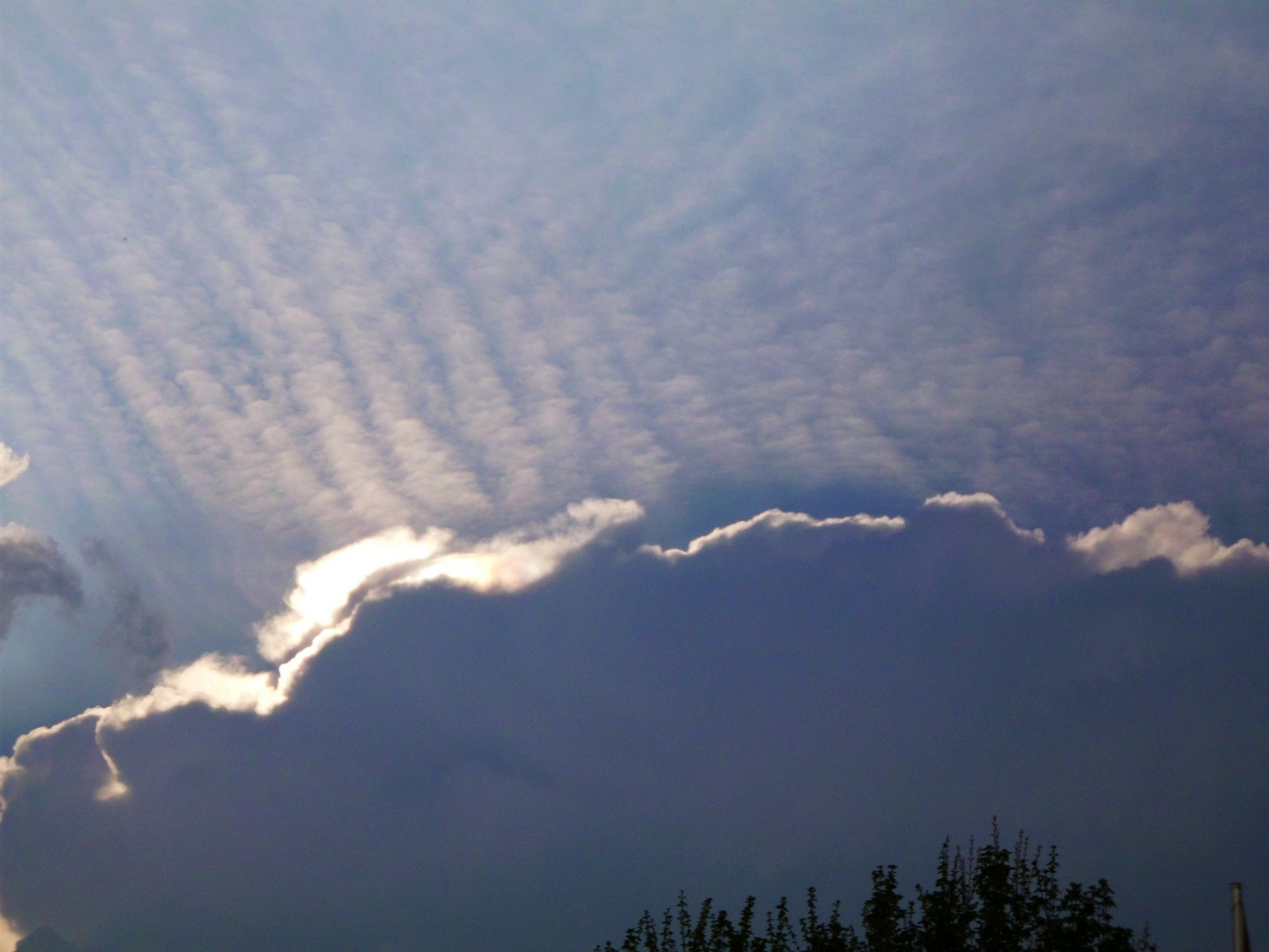 Der Sommer nach dem Sommer