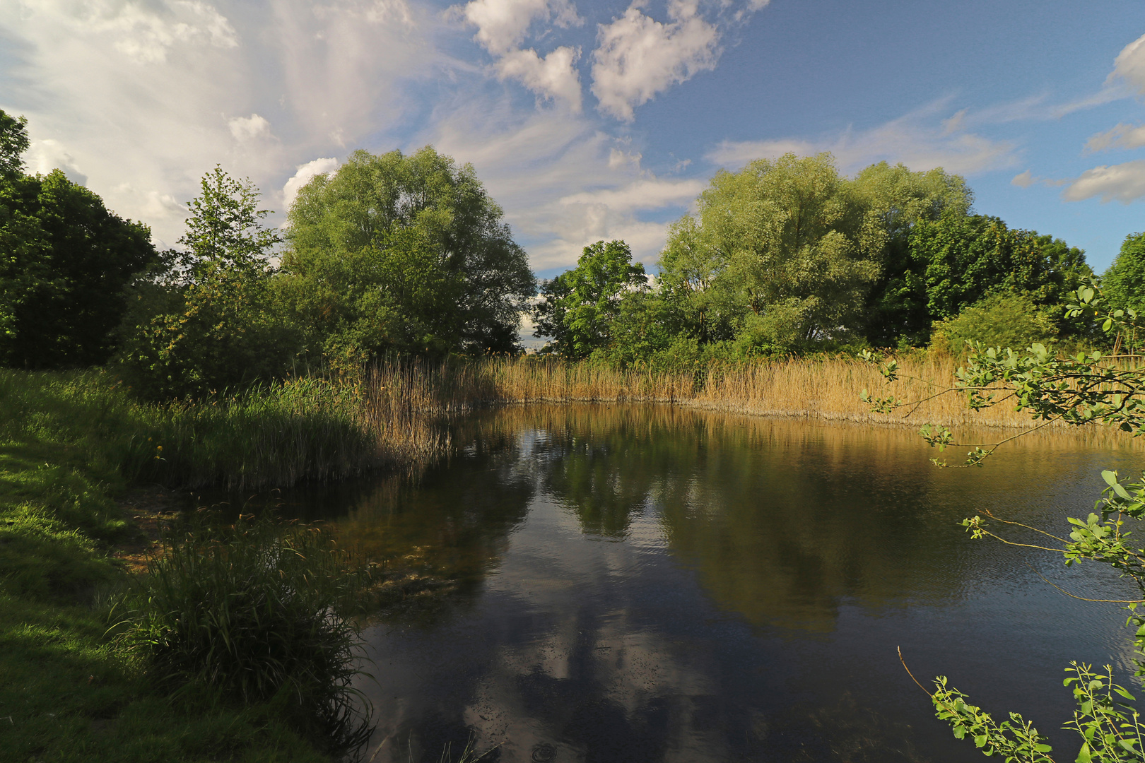 Der Sommer naht