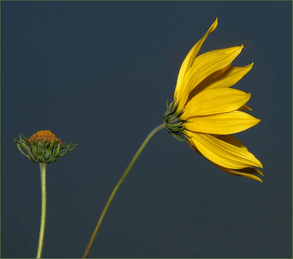 Der Sommer neigt sich dem Ende entgegen!