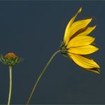 Der Sommer neigt sich dem Ende entgegen!