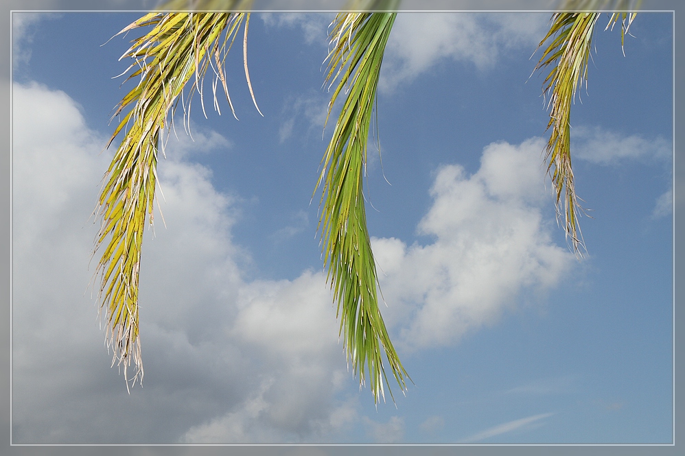 der Sommer neigt sich dem Ende II