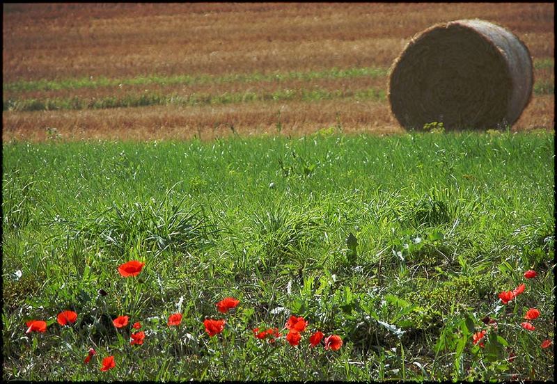 Der Sommer neigt sich dem Ende zu...