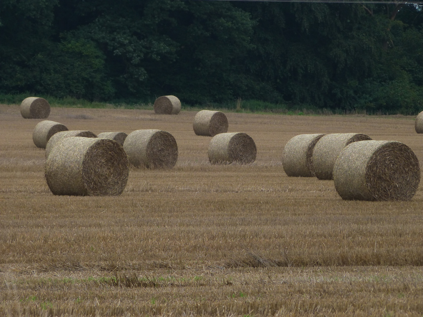 Der Sommer neigt sich zum Ende ......