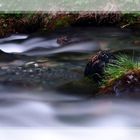 Der Sommer und Flussfotos gehöhren eben zusammen::))