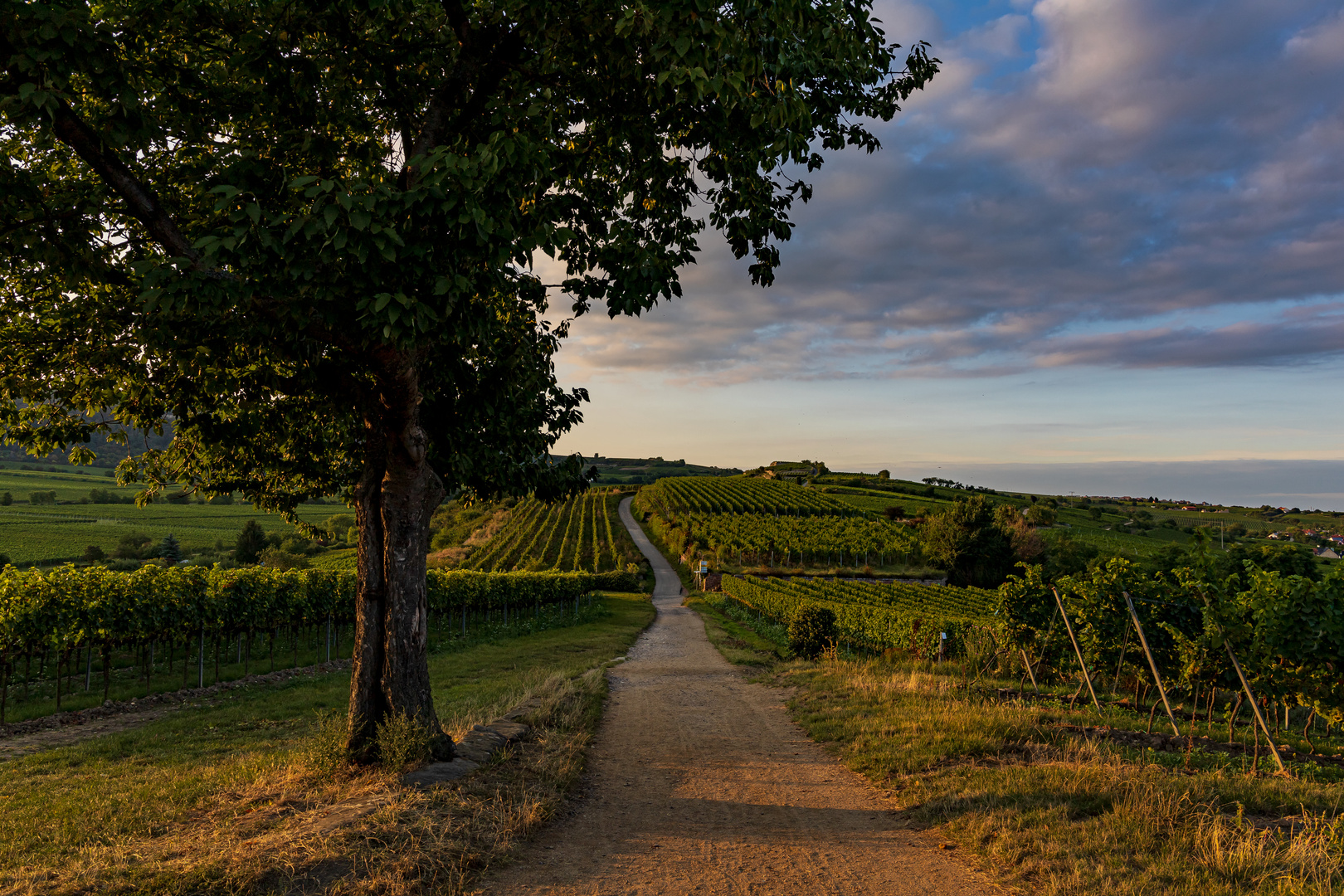 Der Sommer verabschiedet sich...