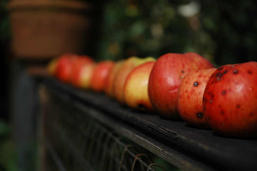 Der Sommer verabschiedet sich