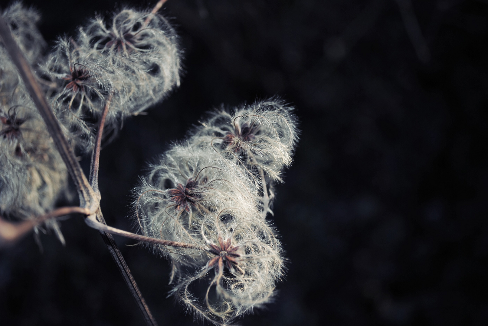 "Der Sommer war kurz, der Winter steht vor der Tür."