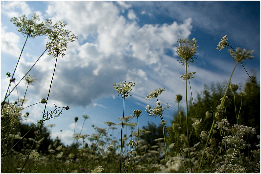 der sommer war viel zu kurz...