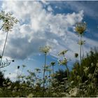 der sommer war viel zu kurz...