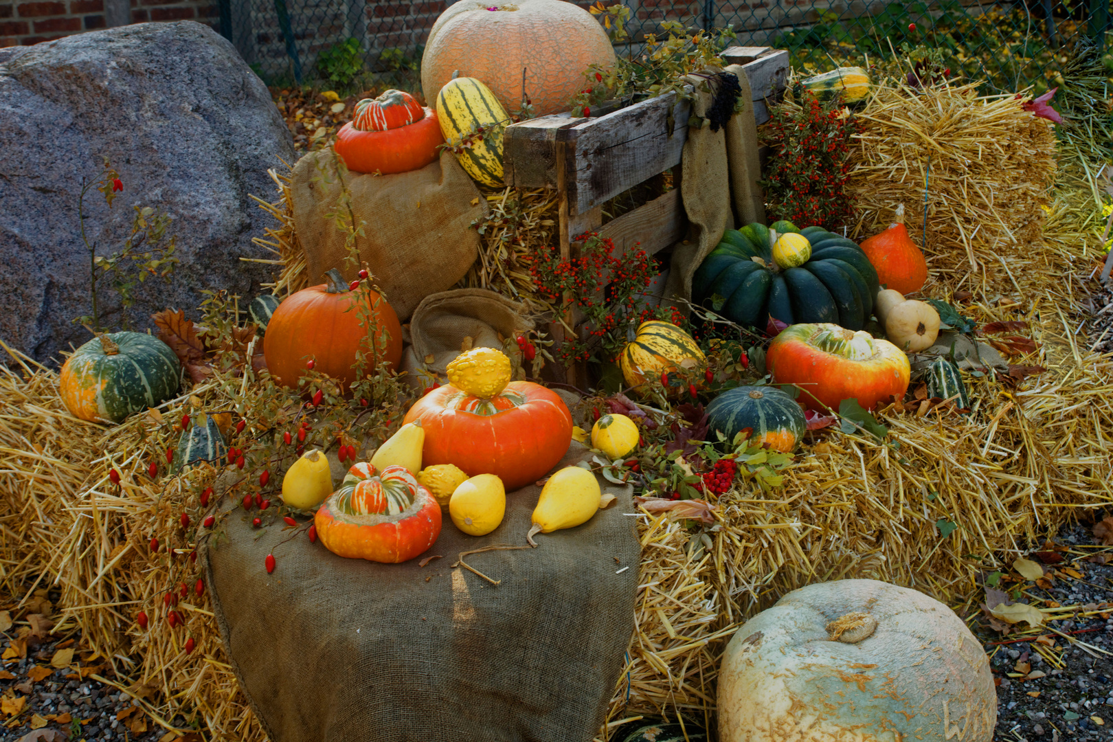 Der Sommergeht, der Herbst kommt!