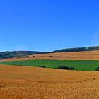 -Der Sommertag im Herbst-