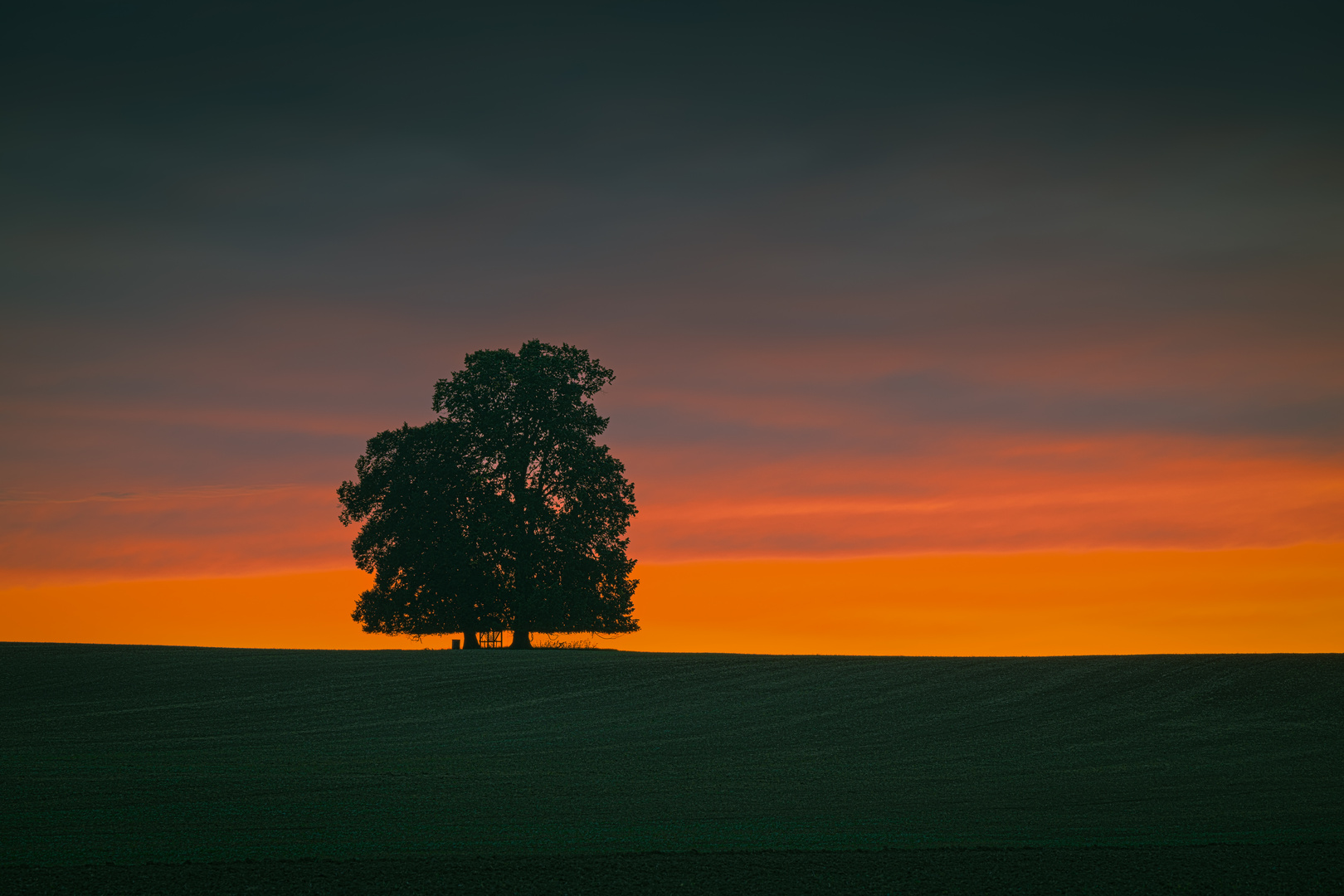 Der Sommerzauber