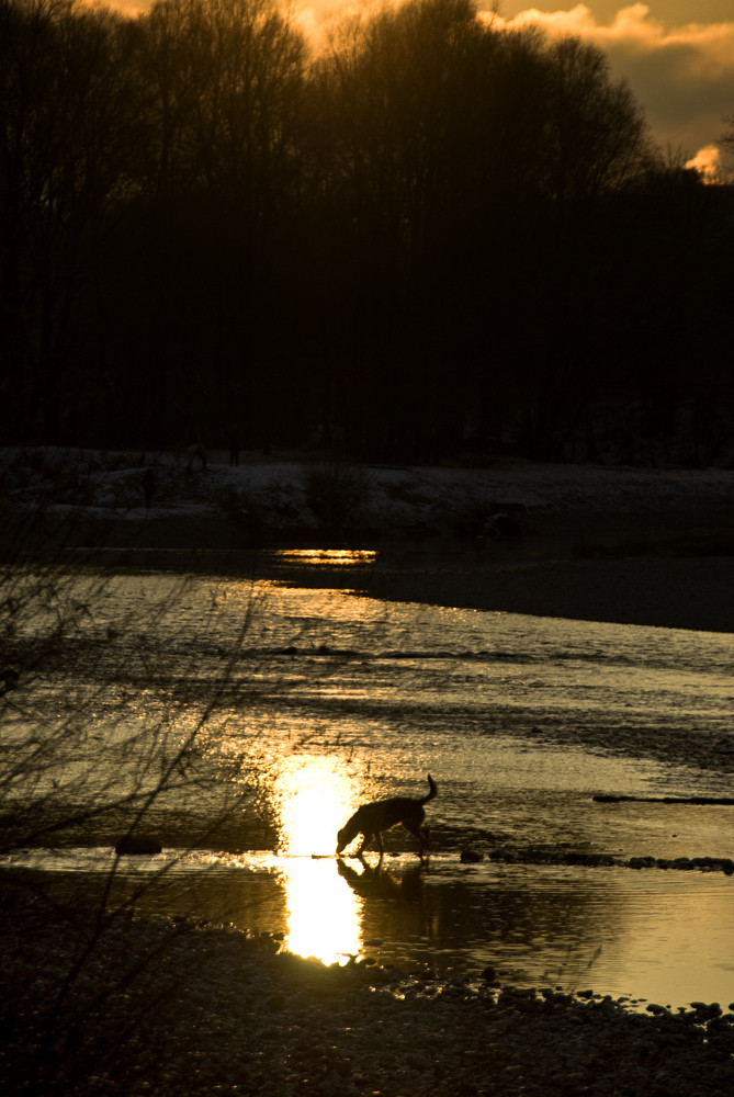 Der Sonne auf der Spur