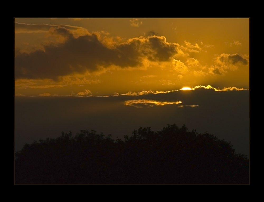 Download Zu zuschauen HD Zu Zuschauen