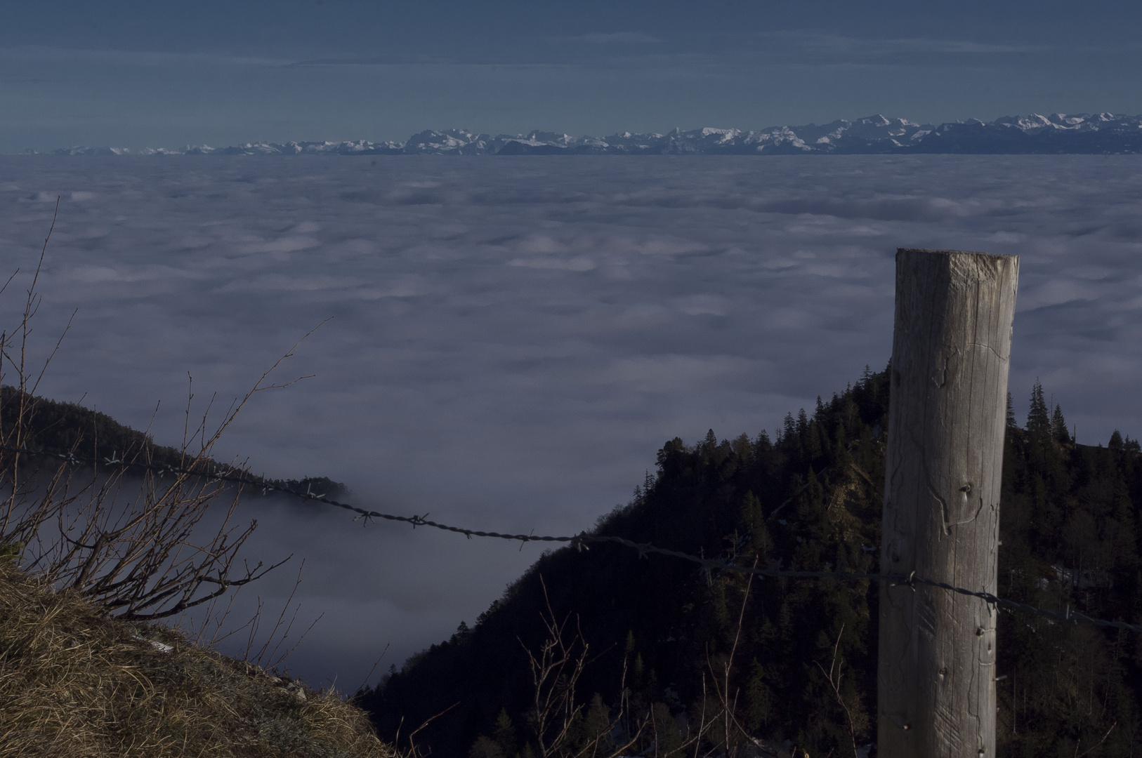 Der Sonne entgegegen