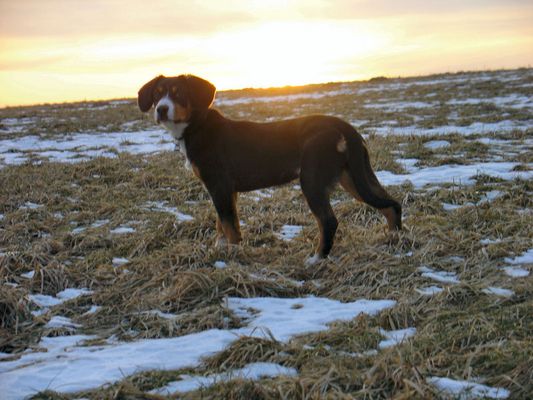 Der Sonne entgegegen...