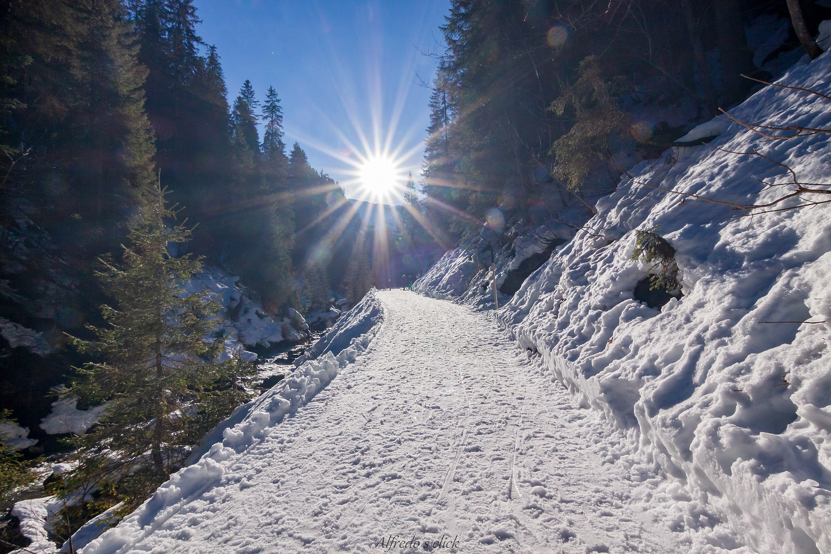 Der Sonne entgegen