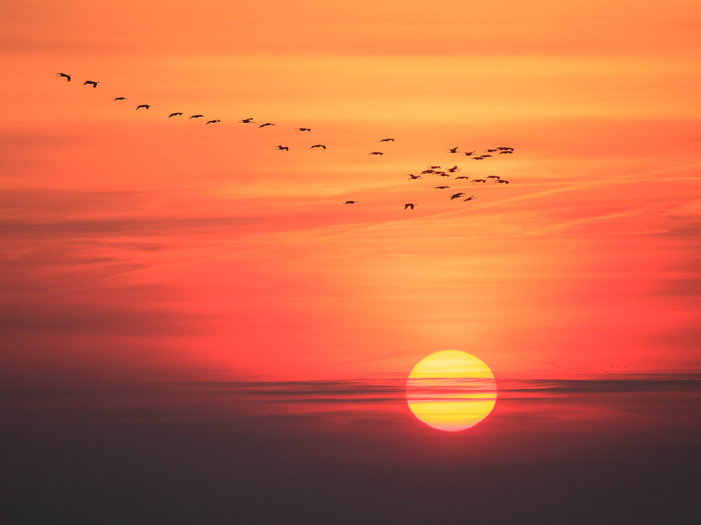 Der Sonne entgegen