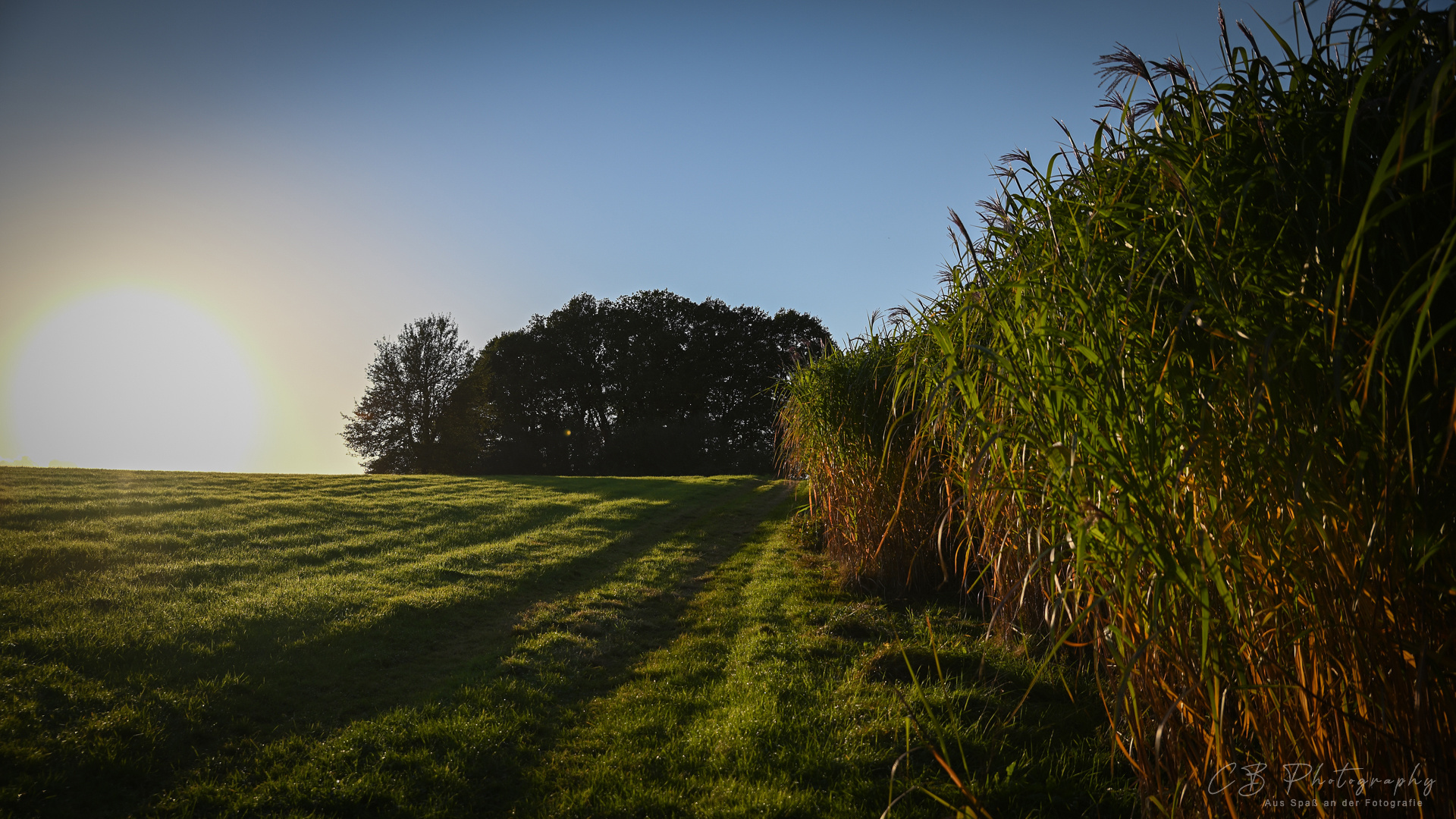 Der Sonne Entgegen