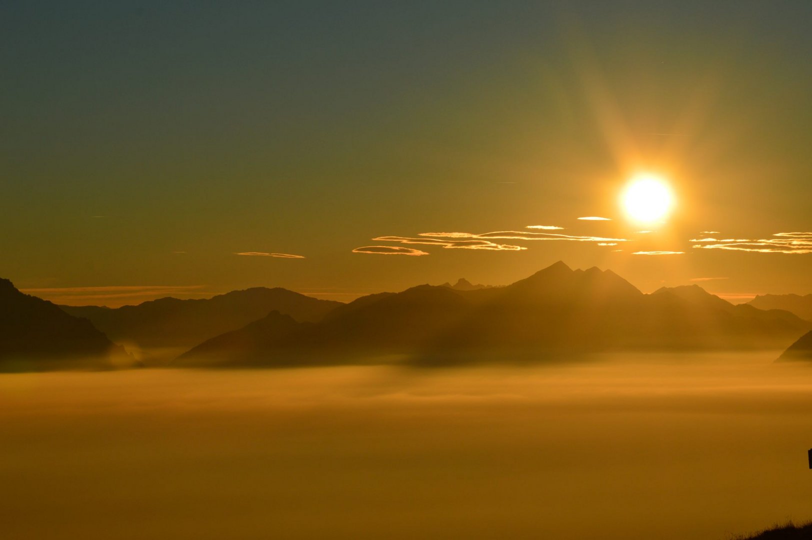 Der Sonne entgegen