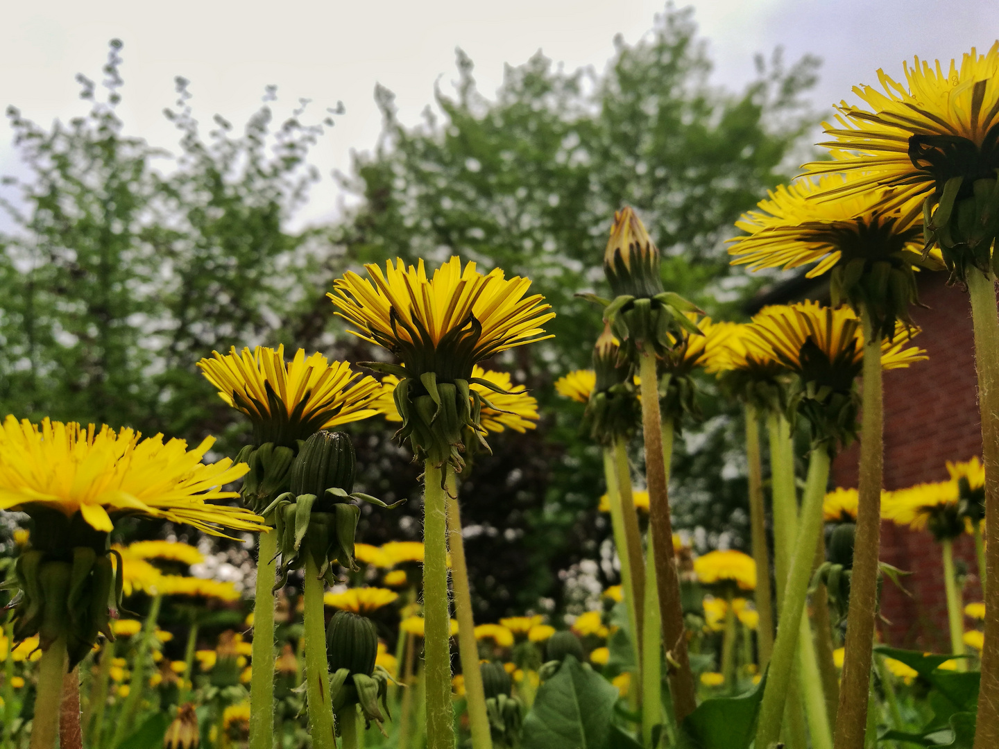 Der Sonne entgegen