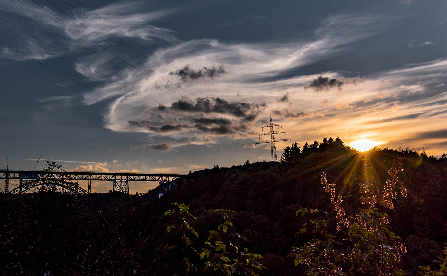 Der Sonne entgegen