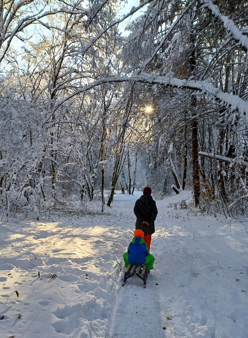 Der Sonne entgegen