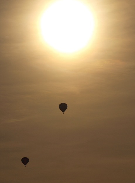 Der Sonne entgegen