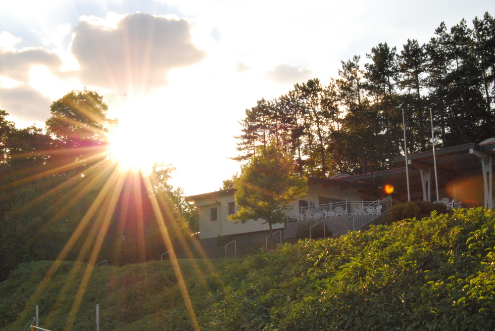 der sonne entgegen..