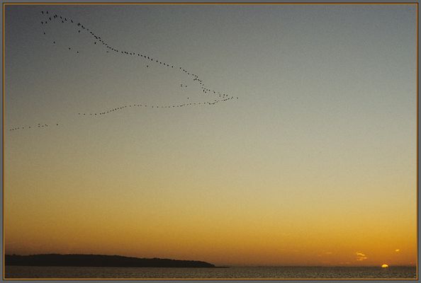 Der Sonne entgegen ... (1986)