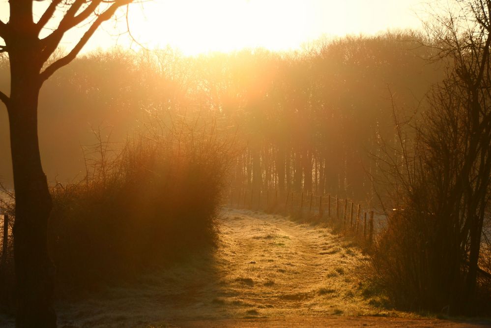 Der Sonne entgegen