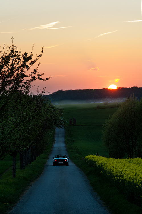 Der Sonne entgegen ...