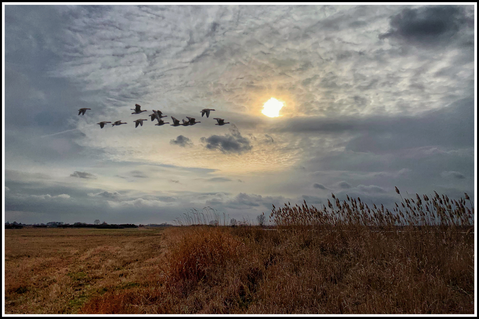 Der Sonne entgegen