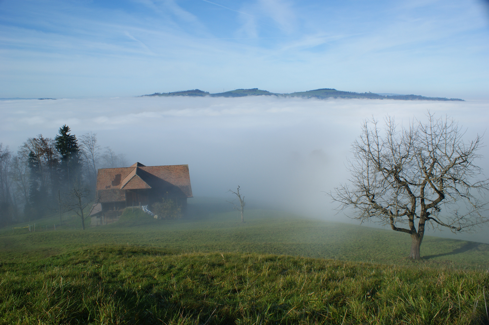 der Sonne entgegen