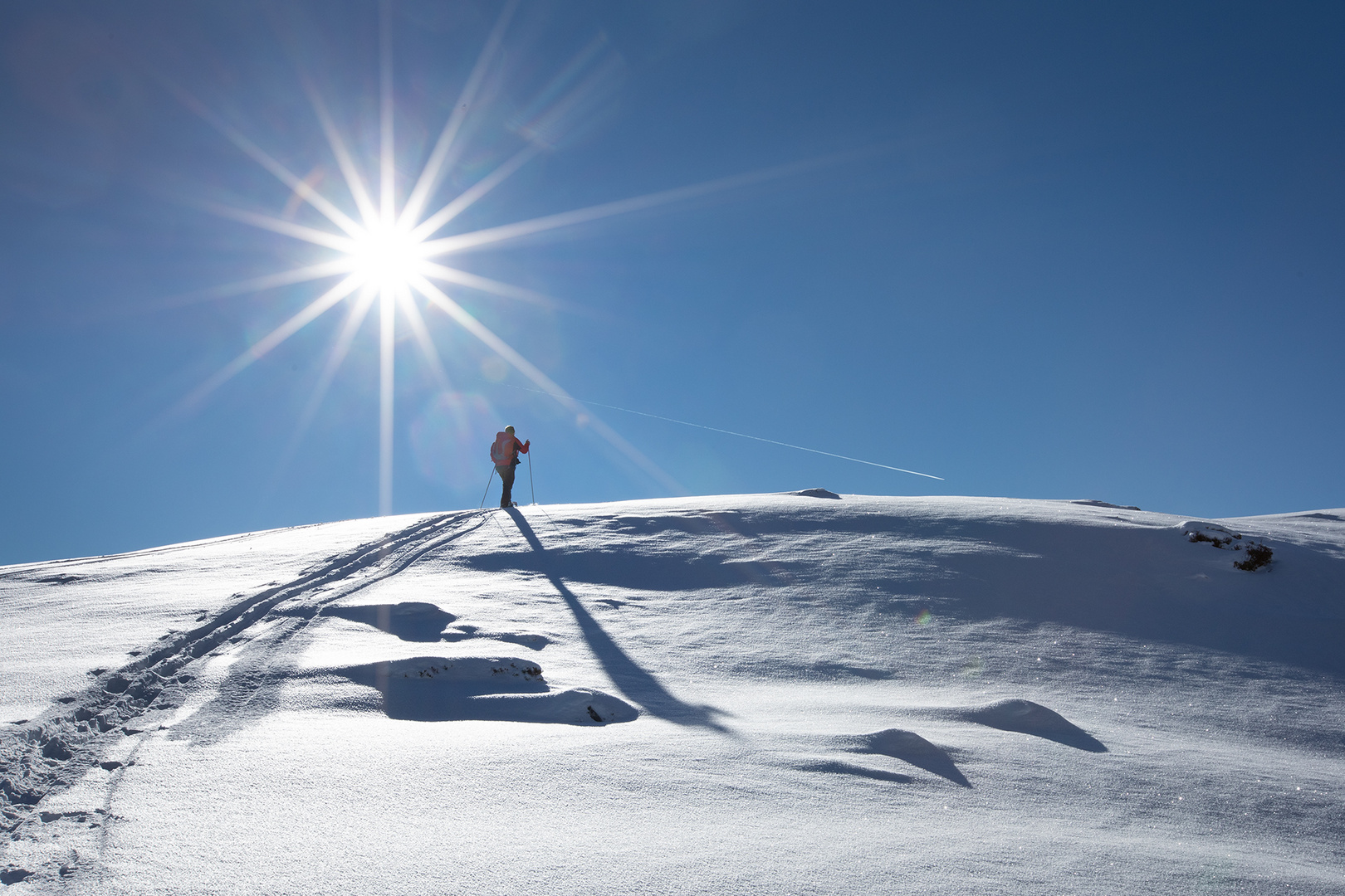 der Sonne entgegen 2