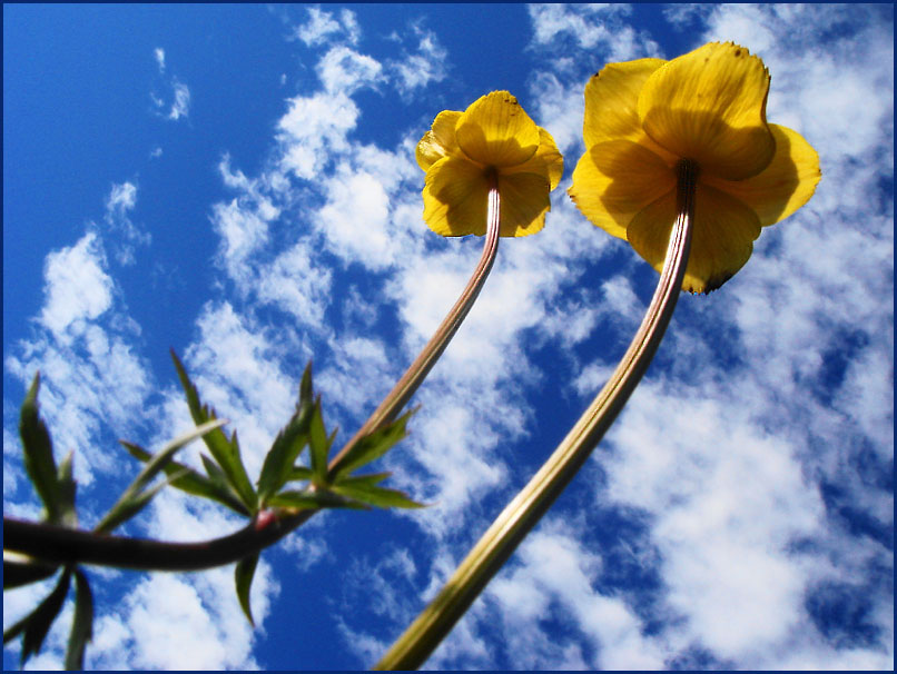 Der Sonne entgegen...