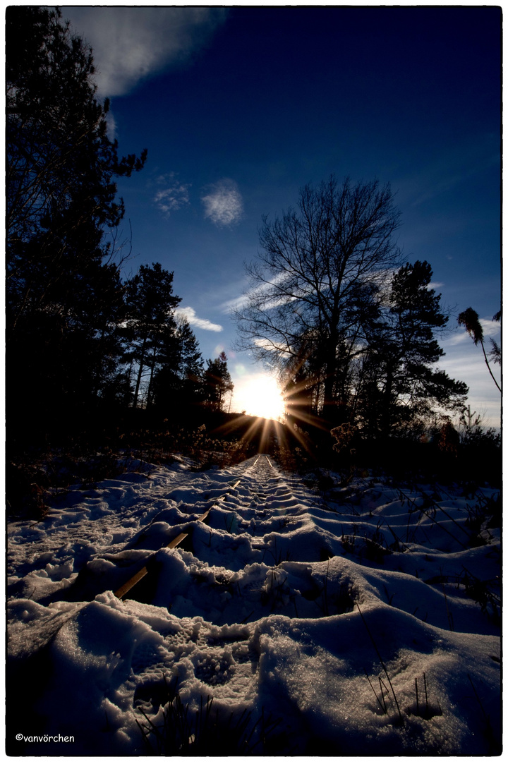 Der Sonne entgegen 