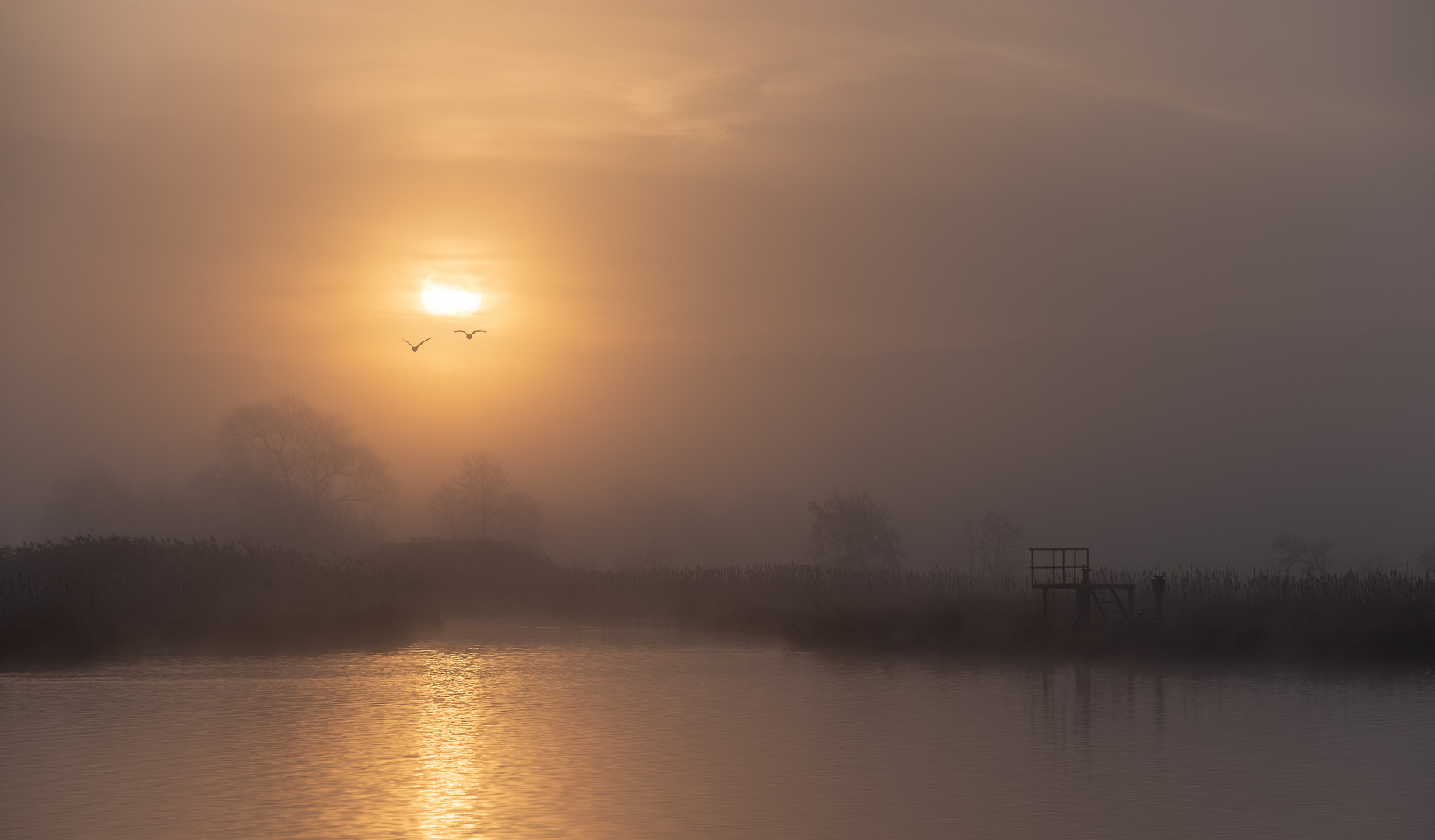 Der Sonne entgegen