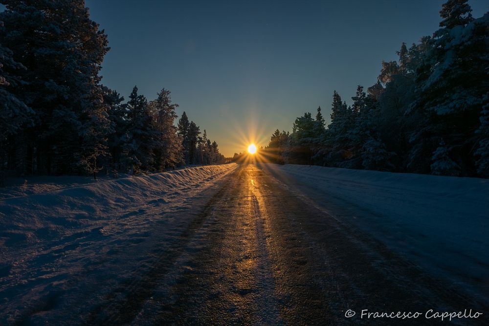 der Sonne entgegen