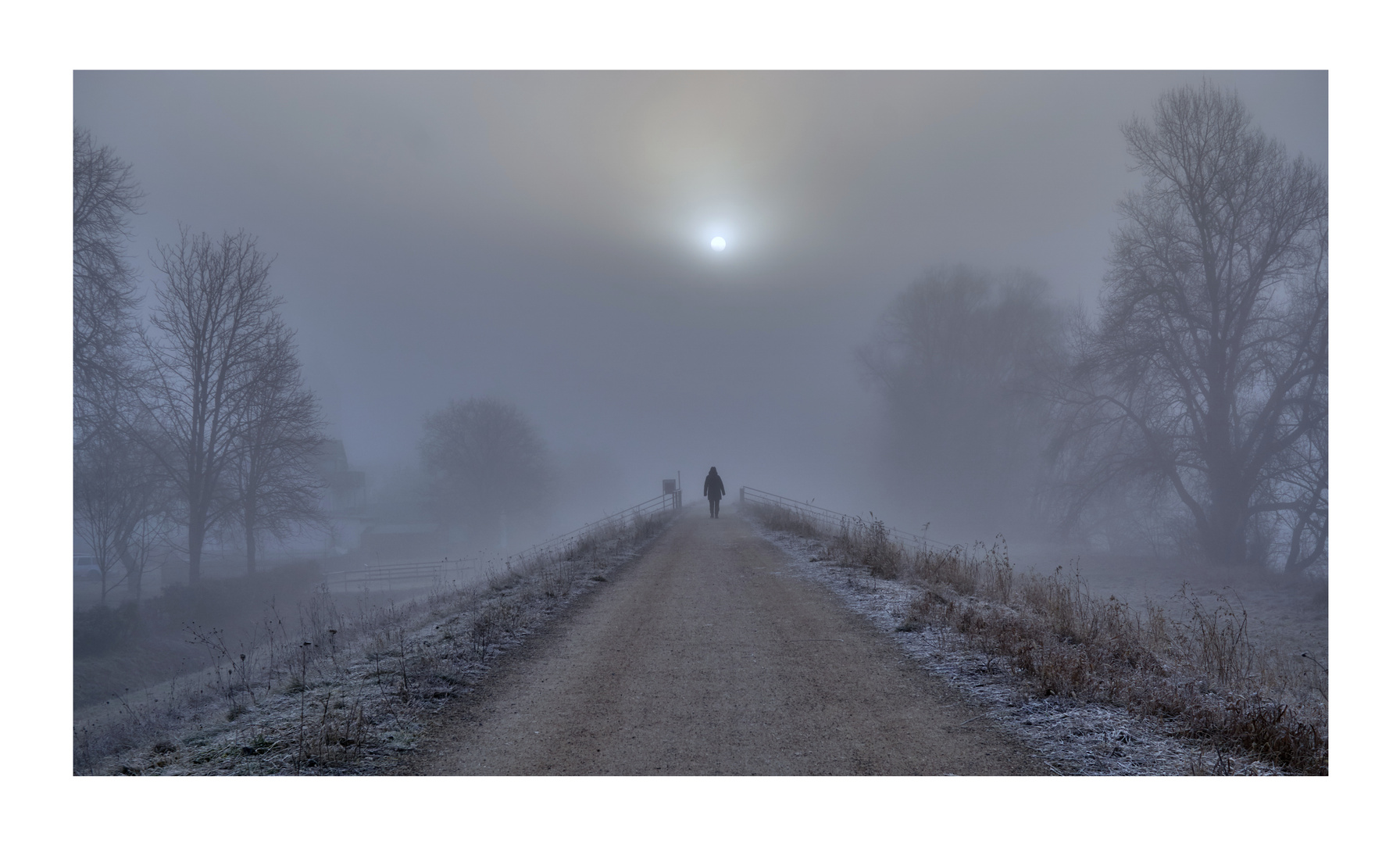 der Sonne entgegen