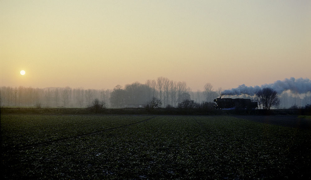 Der Sonne entgegen!