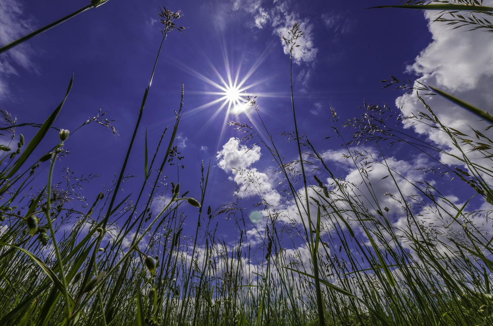 Der Sonne entgegen