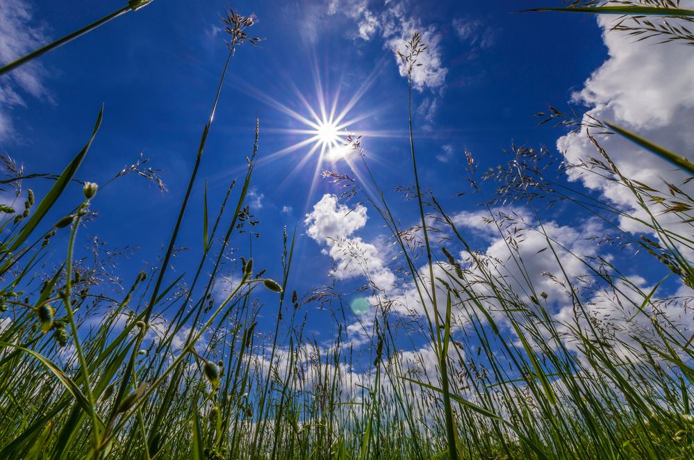 Der Sonne entgegen