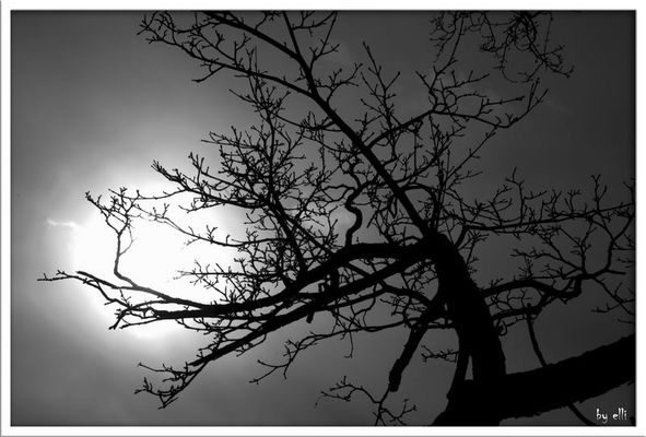 der sonne entgegen....