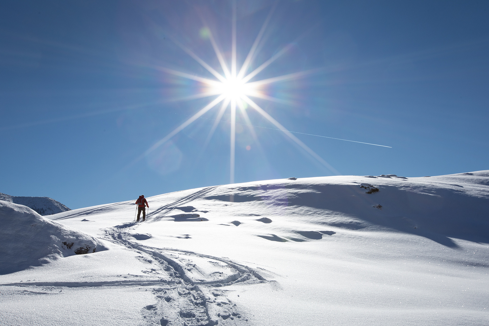 der Sonne entgegen