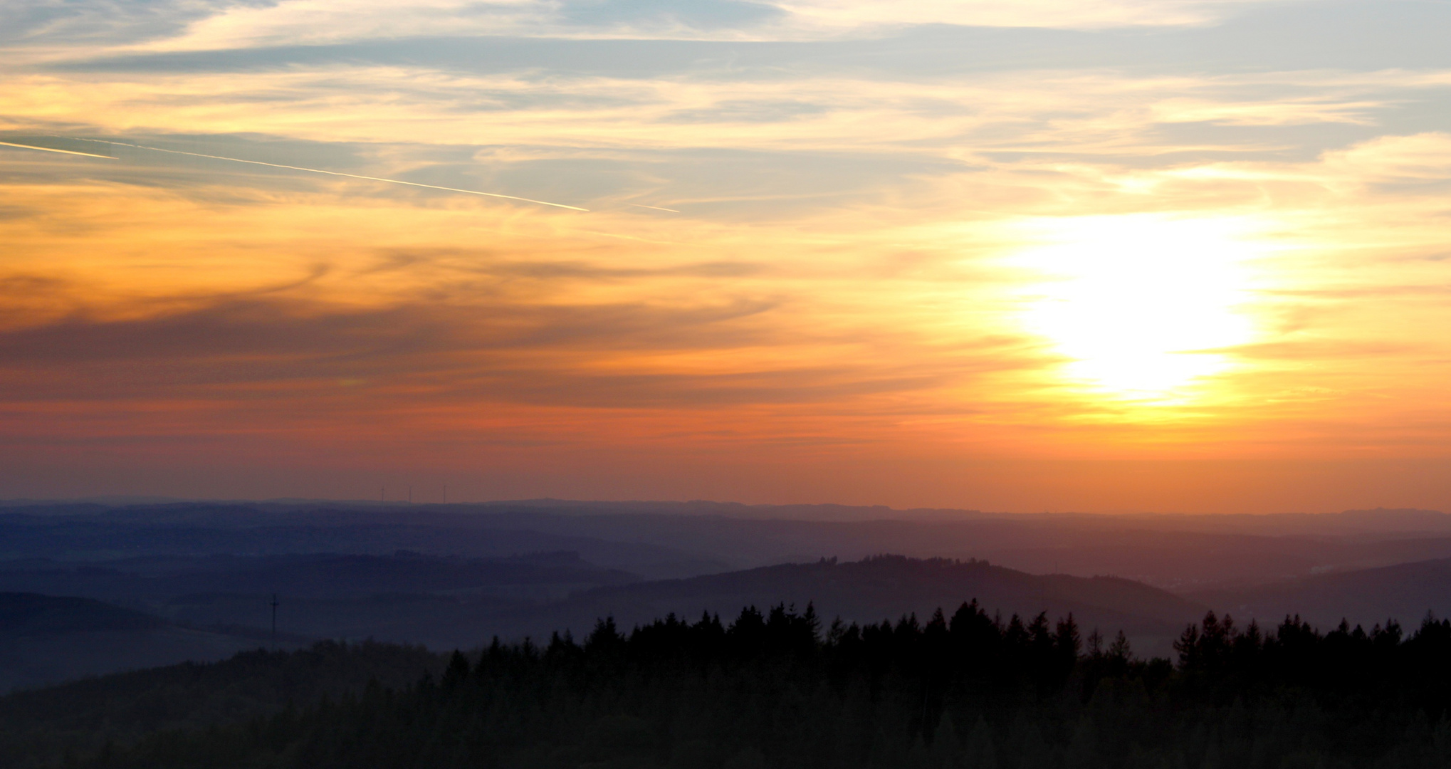 Der Sonne entgegen... 